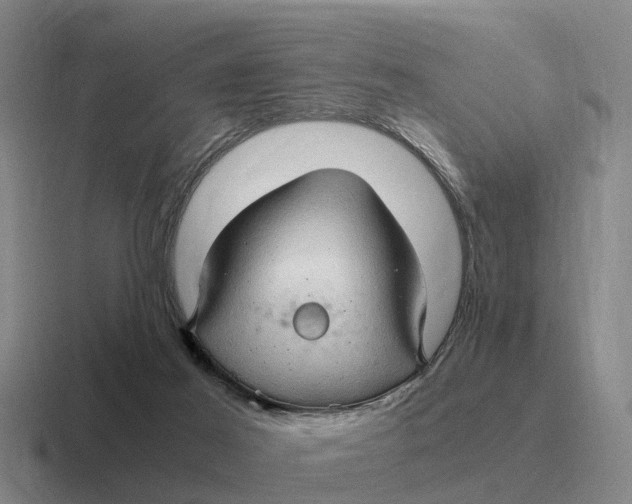 X0000116680021201001041157