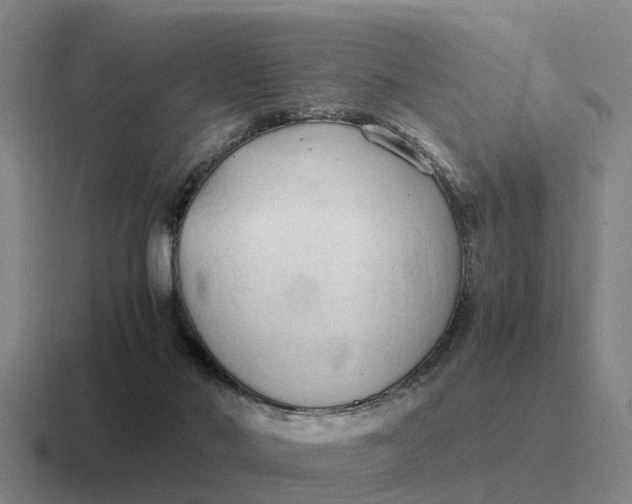 X0000116680022201001041157