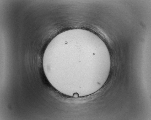 X0000116680025201001041157