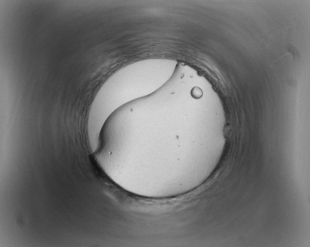 X0000116680029201001041157