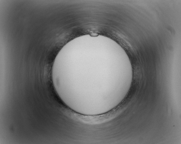 X0000116680030201001041157