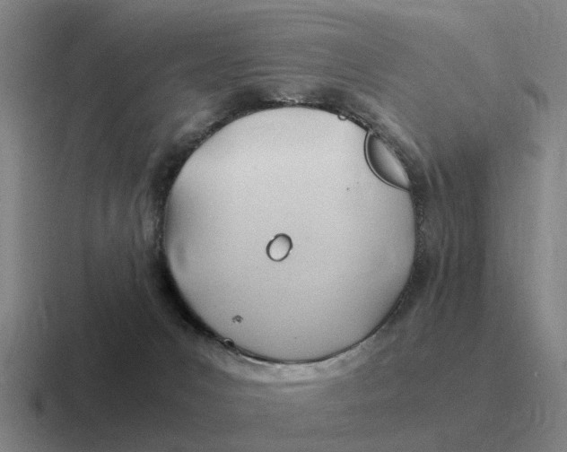 X0000116680031201001041157