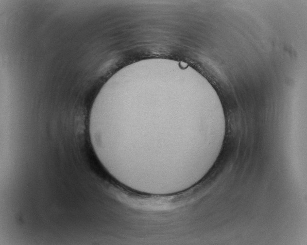 X0000116680032201001041157