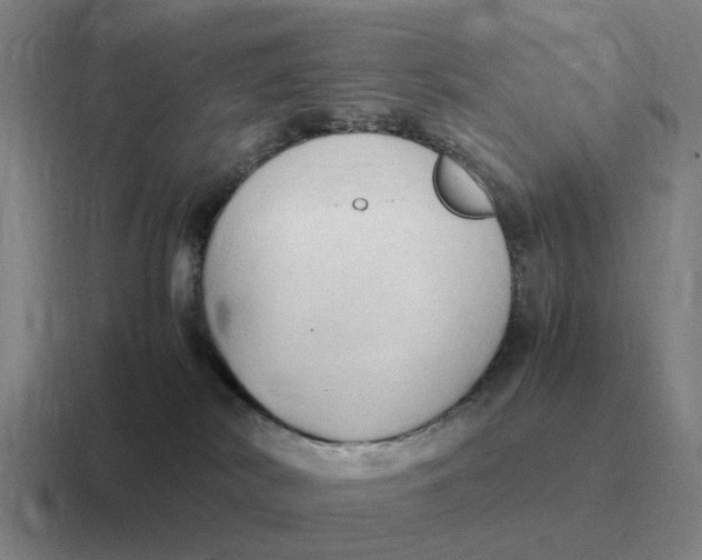 X0000116680038201001041157