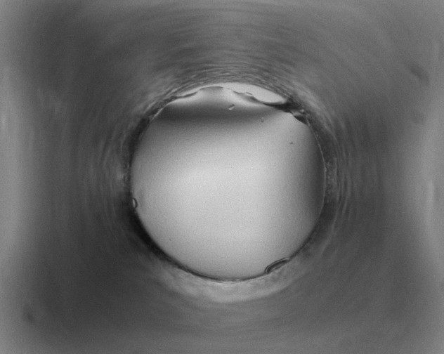 X0000116680039201001041157