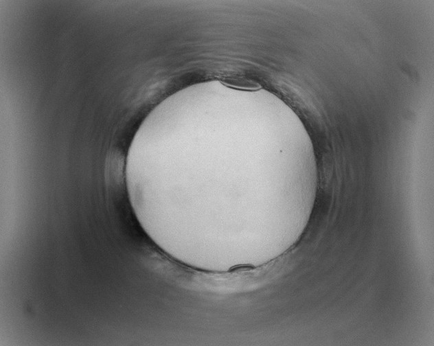 X0000116680041201001041157