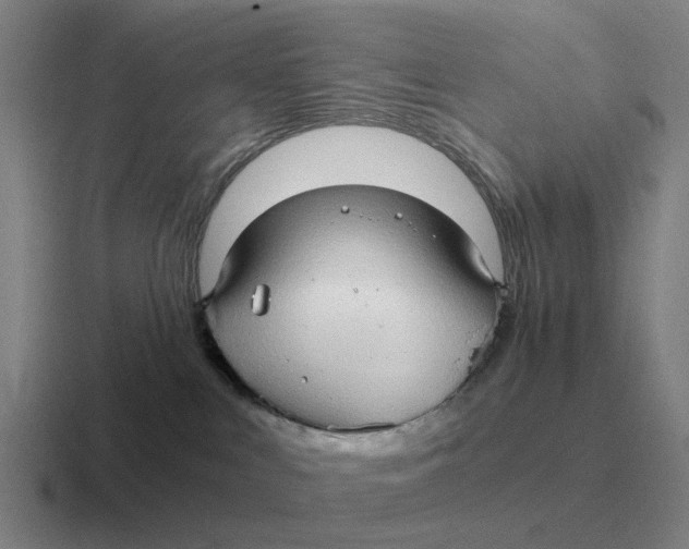 X0000116680043201001041157