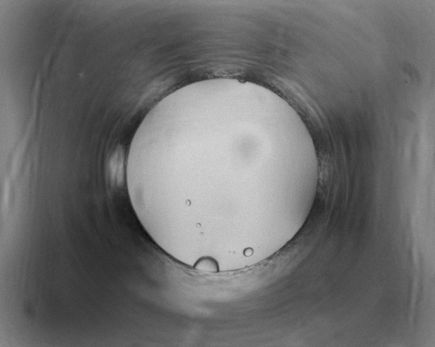 X0000116680046201001041157