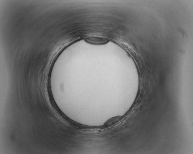 X0000116680049201001041156