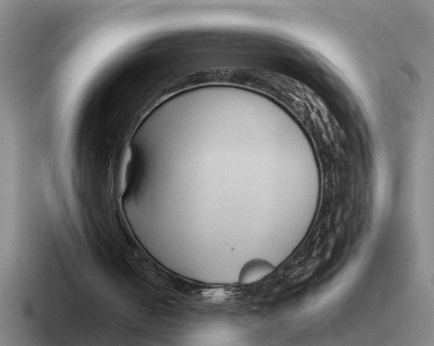 X0000116680050201001041156