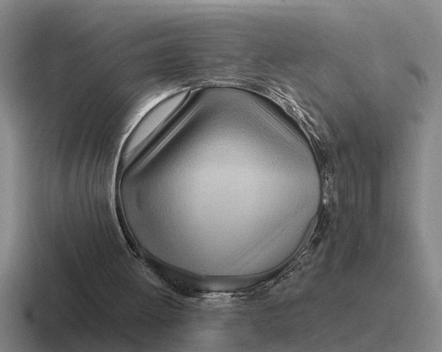 X0000116680052201001041156