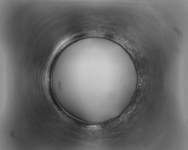 X0000116680053201001041156