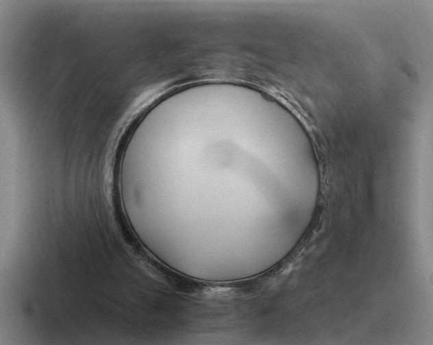 X0000116680055201001041157