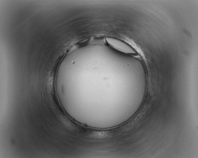 X0000116680057201001041157