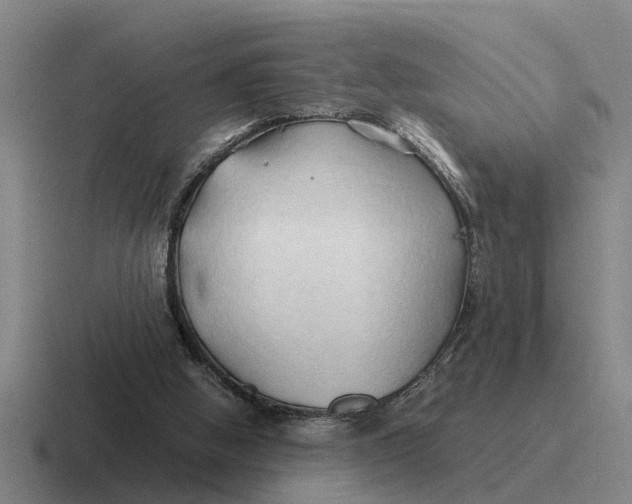 X0000116680058201001041157