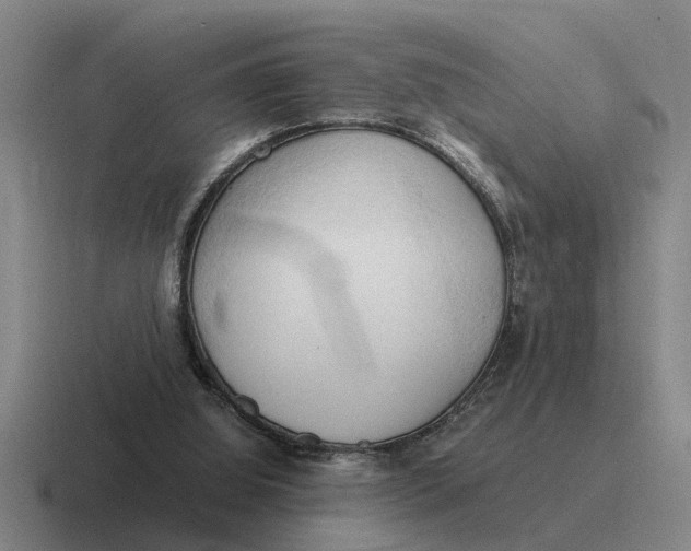 X0000116680060201001041157