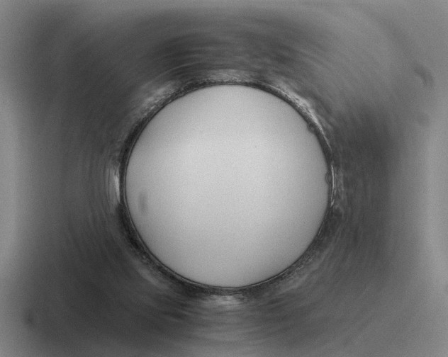 X0000116680061201001041157