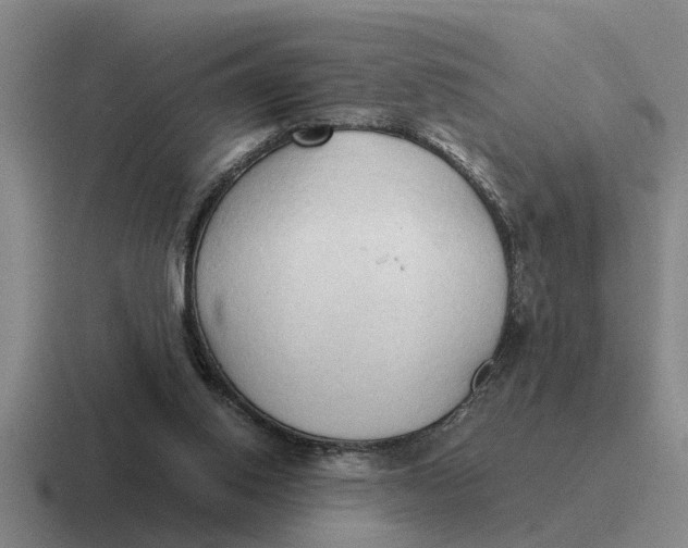 X0000116680062201001041157