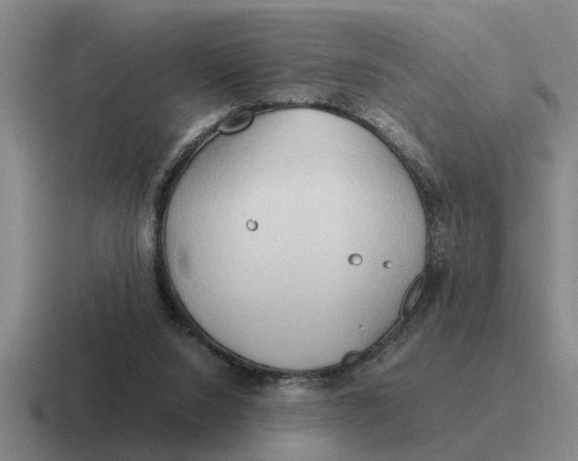 X0000116680064201001041157