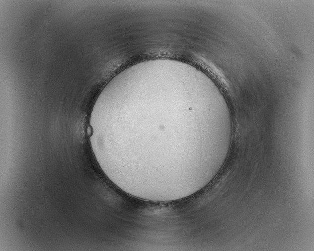 X0000116680065201001041157