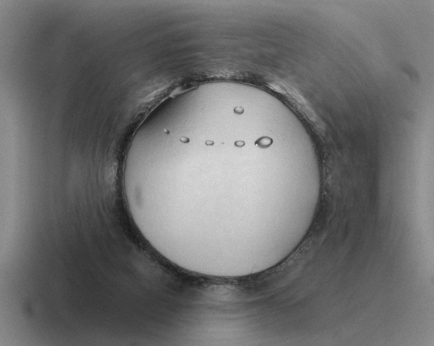 X0000116680066201001041157