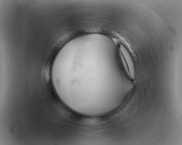 X0000116680069201001041157