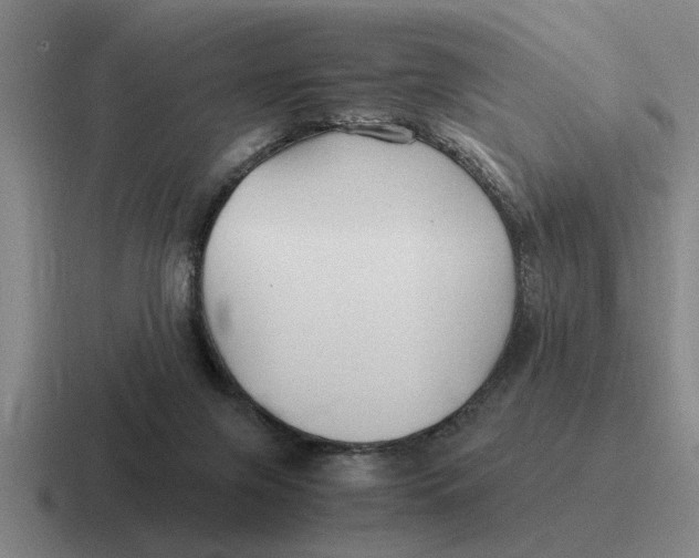 X0000116680071201001041157