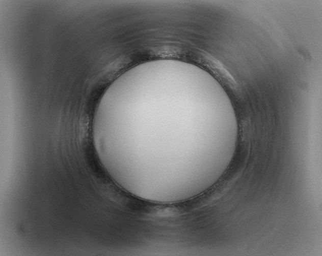 X0000116680073201001041157