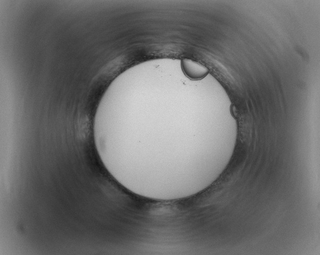 X0000116680077201001041157