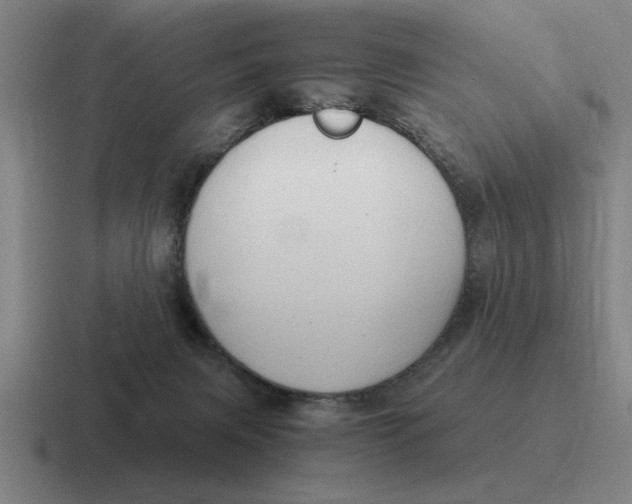 X0000116680079201001041157