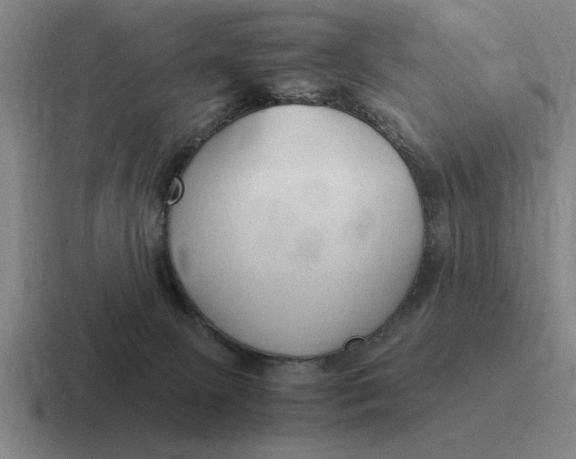 X0000116680081201001041157