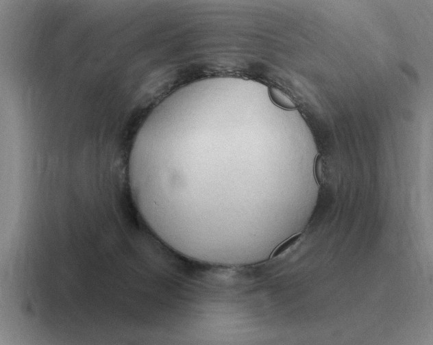 X0000116680086201001041157