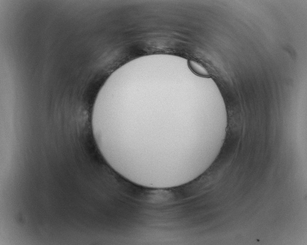 X0000116680087201001041157