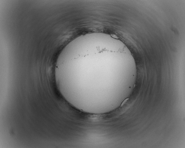 X0000116680088201001041157