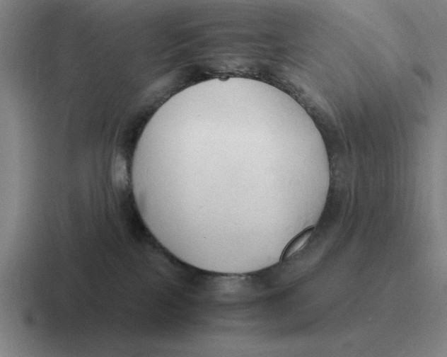 X0000116680089201001041157