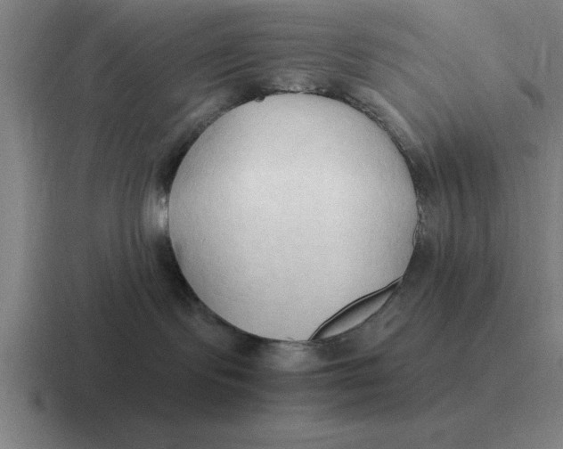 X0000116680095201001041157