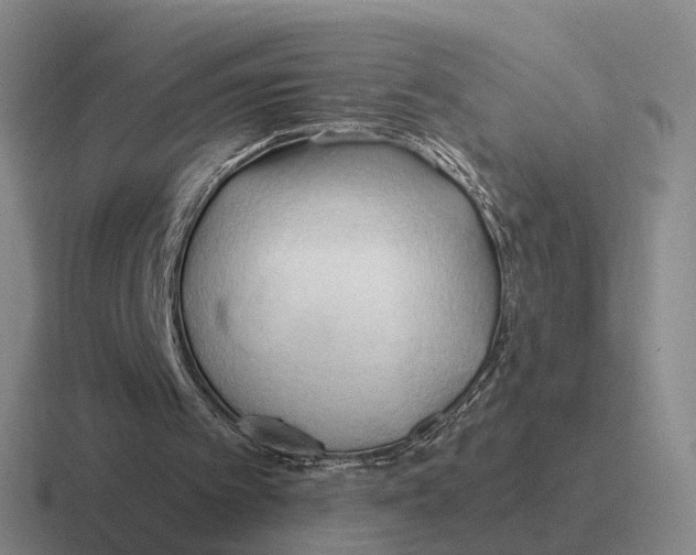 X0000116680097201001041156