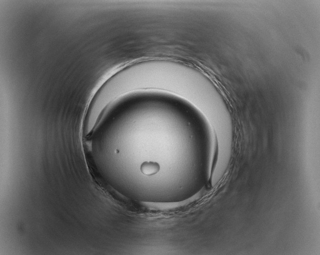 X0000116680100201001041156