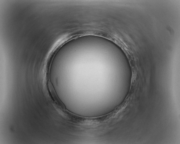 X0000116680101201001041156