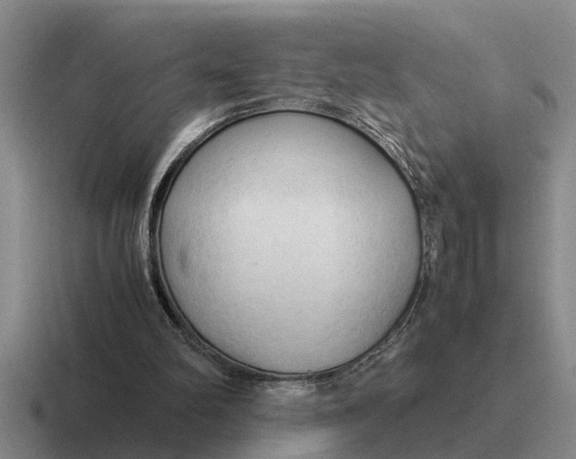 X0000116680102201001041156