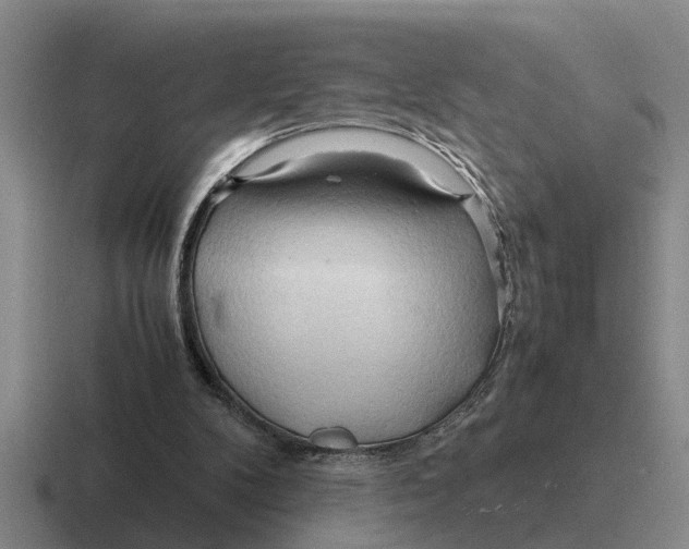 X0000116680104201001041156