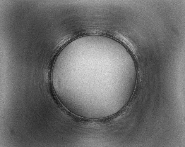 X0000116680105201001041156