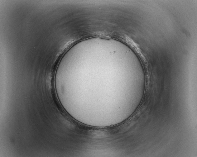 X0000116680106201001041156