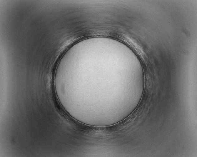 X0000116680107201001041156