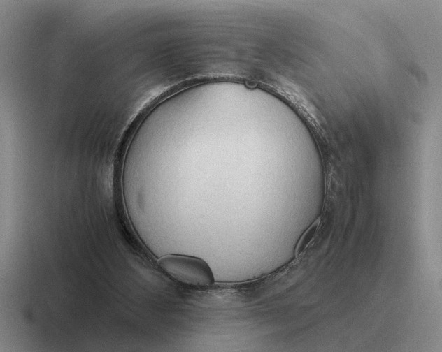 X0000116680108201001041156