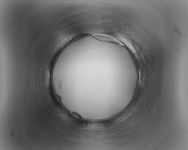 X0000116680109201001041156