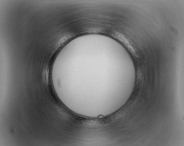 X0000116680110201001041156