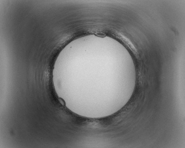 X0000116680113201001041156