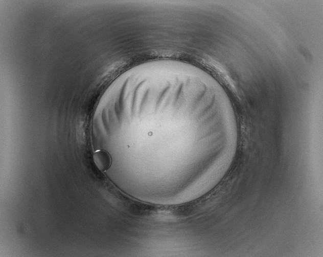 X0000116680114201001041156