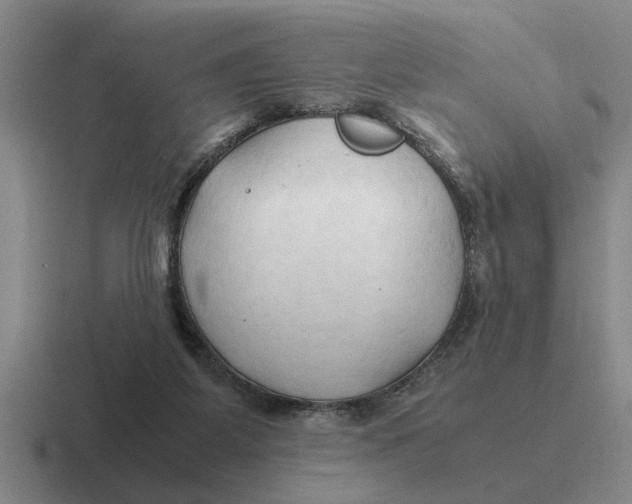 X0000116680115201001041156